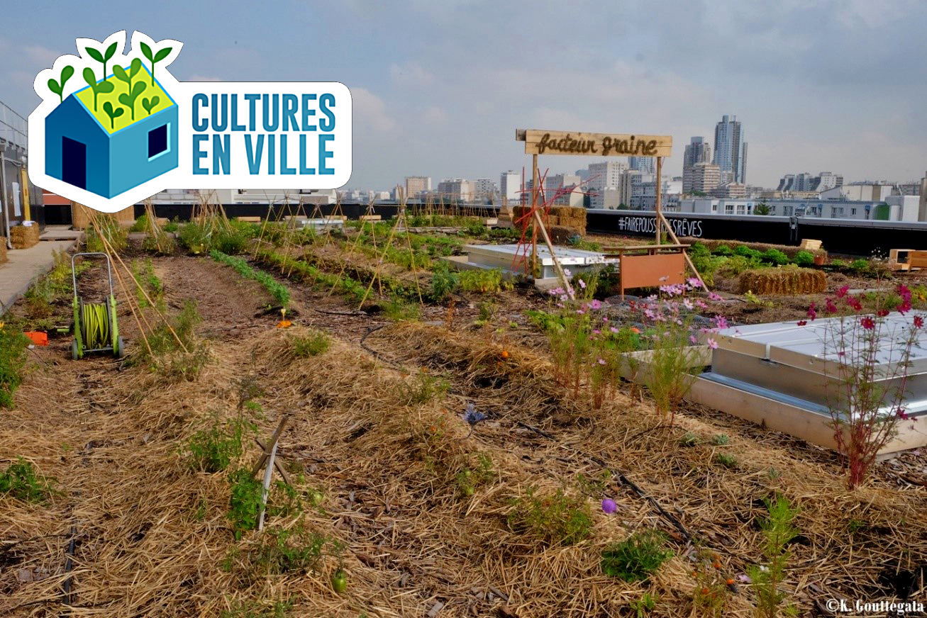 Cultures en Ville-l'agriculture urbaine